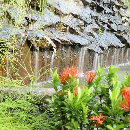 هيكادوفا Ayurveda Centrum Lawrence Hill Paradise المظهر الخارجي الصورة