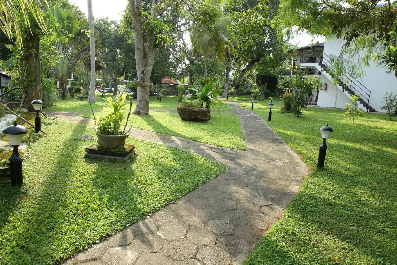 هيكادوفا Ayurveda Centrum Lawrence Hill Paradise المظهر الخارجي الصورة