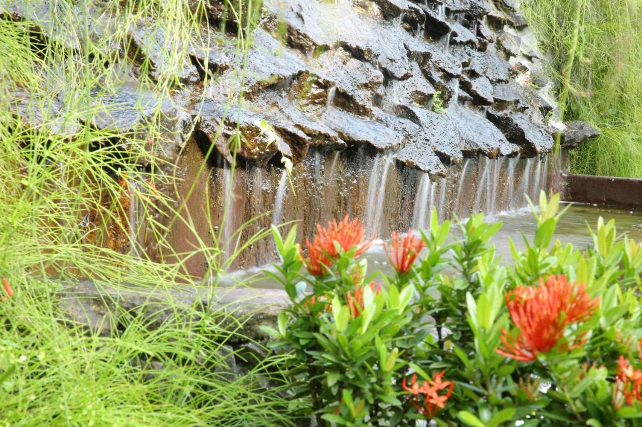 هيكادوفا Ayurveda Centrum Lawrence Hill Paradise المظهر الخارجي الصورة