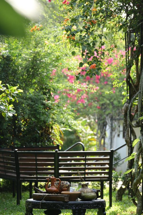 هيكادوفا Ayurveda Centrum Lawrence Hill Paradise المظهر الخارجي الصورة